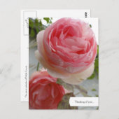 カスタマイズ可能な英語バラガーデンポストカード ポストカード (正面/裏面)