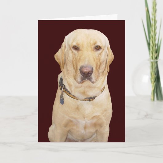 カスタマイズ可能な誕生日 カード (正面)