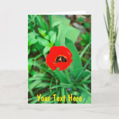 カスタマイズ可能な赤いチューリップ カード (正面)