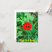 カスタマイズ可能な赤いチューリップ カード (正面/裏面インサイチュ)