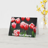 カスタマイズ可能な赤と白チューリップ カード (黄色い花)