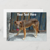 カスタマイズ可能な迷走犬カード (正面/裏面)