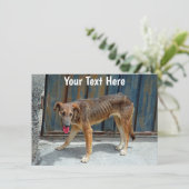 カスタマイズ可能な迷走犬カード (スタンド正面)