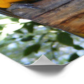 カスタマイズ可能な青と金ゴールドのMacawポスター ポスター (角)