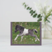 カスタマイズ可能な馬はがき#3 ポストカード (スタンド正面)