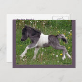 カスタマイズ可能な馬はがき#3 ポストカード (正面/裏面)