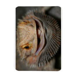 カスタマイズ可能な髭のドラゴン マグネット