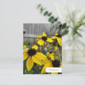 カスタマイズ可能な黒い目のスーザンガーデン葉書 ポストカード (スタンド正面)