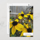 カスタマイズ可能な黒い目のスーザンガーデン葉書 ポストカード (正面/裏面)