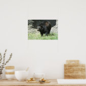 カスタマイズ可能な黒熊のポスター ポスター (キッチン)