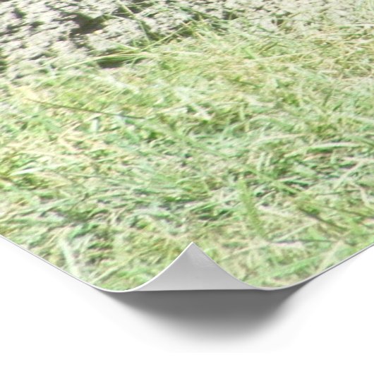 カスタマイズ可能な黒熊のポスター ポスター (角)