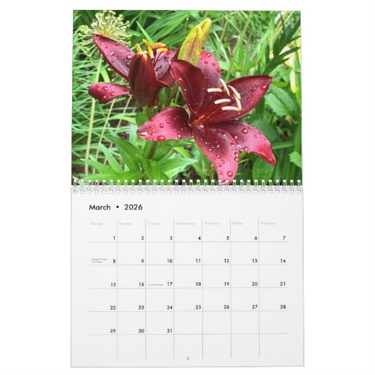 カスタマイズ可能な2ページ中写真カレンダー カレンダー (3月 2026)
