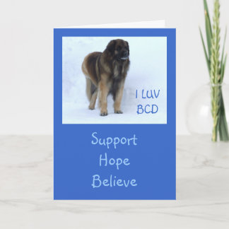 カスタマイズ可能な"サポート、希望は"、カードを信じます カード