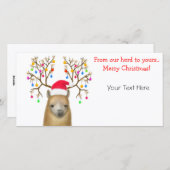 カスタマイズ可能なAlpacaクリスマスフォトカード シーズンカード (正面/裏面)