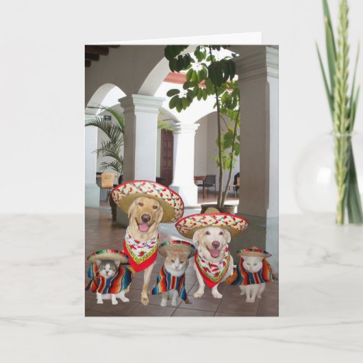 カスタマイズ可能なCinco de Mayo カード (正面)