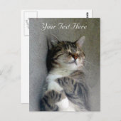 カスタマイズ可能なHappy Catポストカード ポストカード (正面/裏面)