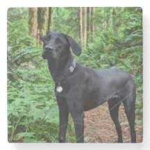 カスタマイズ可能コースター！すすり泣いて自分の子犬を見詰める