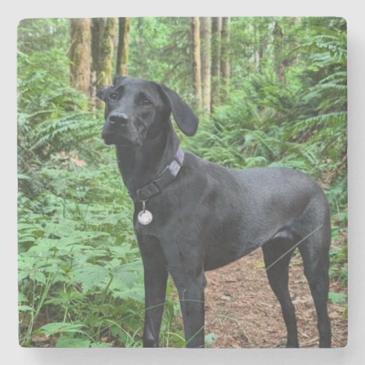 カスタマイズ可能コースター!すすり泣いて自分の子犬を見詰める ストーンコースター (正面)