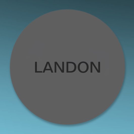 カスタマイズ可能文字 |はっきりした黒モダンと白 ラウンドシール