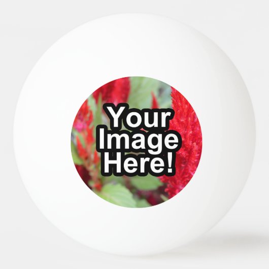 カスタマイズ可能 卓球ボール (正面)