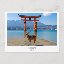 カスタマイズ可能, 宮島, 日本 ポストカード