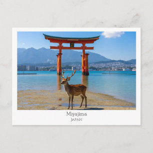 カスタマイズ可能, 宮島, 日本 ポストカード