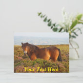 カスタマイズ可能： Exmoor pony, Somerset, England カード (スタンド正面)