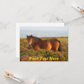 カスタマイズ可能： Exmoor pony, Somerset, England カード (正面/裏面インサイチュ)