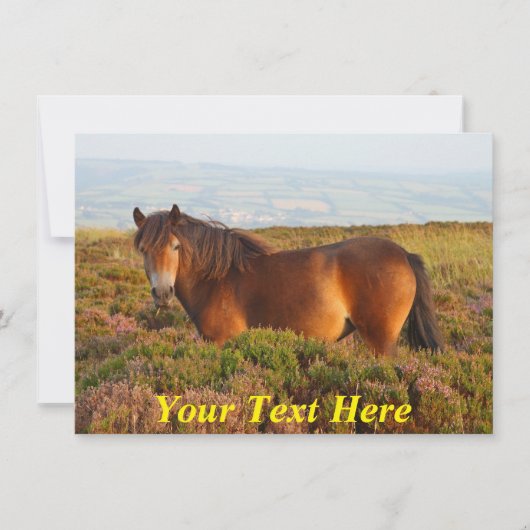 カスタマイズ可能： Exmoor pony, Somerset, England カード (正面)