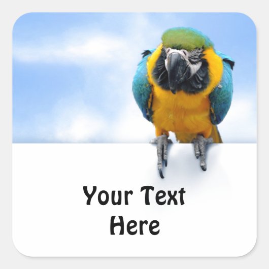 カスタマイズ可能Macaw スクエアシール (正面)