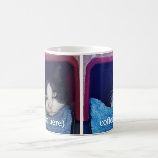 カスタマイズ左利きのわめく猫のコーヒー・マグ コーヒーマグカップ (中央)