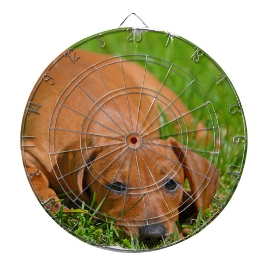 カスタマイズ投げ矢板- ダーツボード (正面)