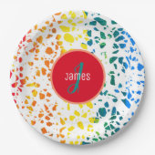 カスタマイズ抽象芸術カラフルTerrazzo ペーパープレート (正面)