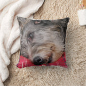 カスタマイズ枕- クッション (ブランケット)