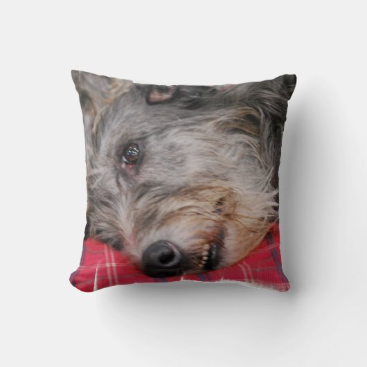 カスタマイズ枕- クッション (正面)