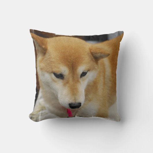 カスタマイズ枕- クッション (正面)