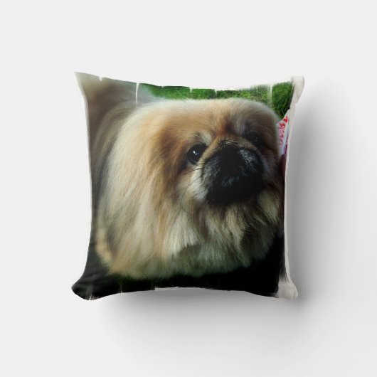 カスタマイズ枕- クッション (正面)