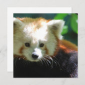 カスタマイズ正方形の招待状- 招待状 (正面/裏面)