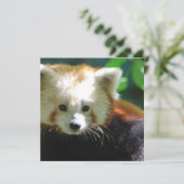 カスタマイズ正方形の招待状- 招待状 (スタンド正面)