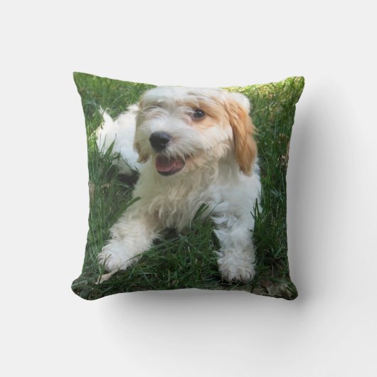 カスタマイズ犬キャバション写真枕 クッション (正面)