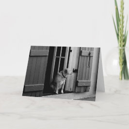 カスタマイズ空白の可能なラッキードグリーティングカード カード