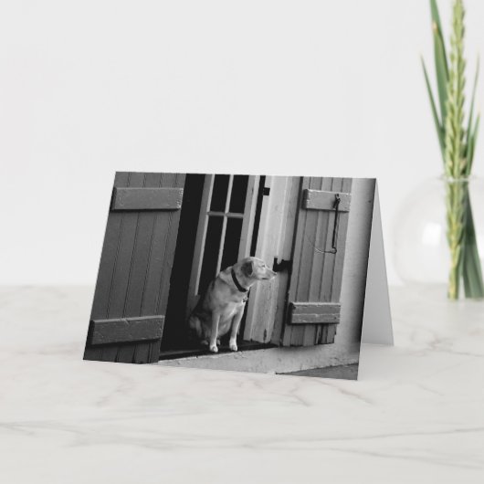 カスタマイズ空白の可能なラッキードグリーティングカード カード (正面)