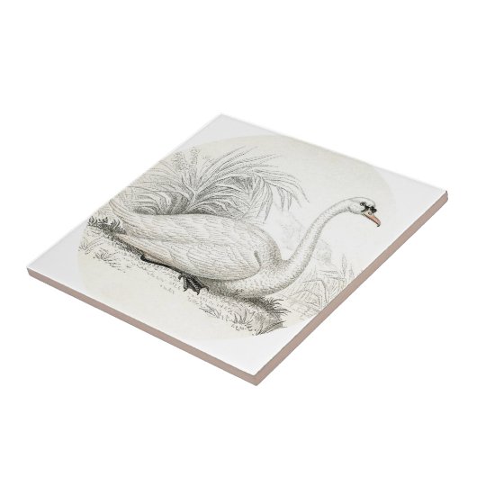 カスタマイズ素晴らしヴィンテージ タイル (側面)