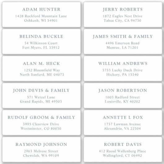 カスタマイズ結婚可能なゲスト住所 シールシール シール (正面)