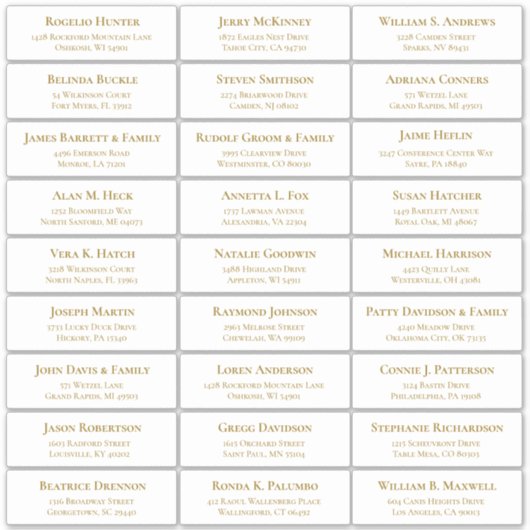 カスタマイズ結婚可能なゲスト住所 シールシール シール (正面)