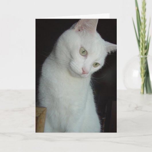 カスタマイズ考える可能な カード (正面)