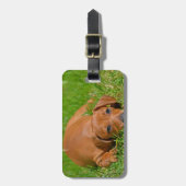 カスタマイズ荷物のラベル- ラゲッジタグ (正面縦)