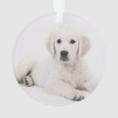 カスタマイズ記念撮影 オーナメント (裏面)