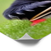 カスタマイズ読パ中国のダ検眼室 ポスター (角)