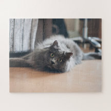 カスタマイズ ペット 猫 子猫 楽しい